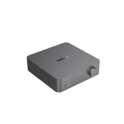 Wzmacniacz WiiM Vibelink Amp Szary