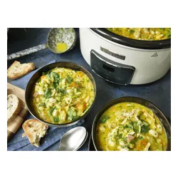 Wolnowar Crockpot CSC060X