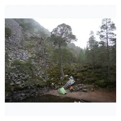 Namiot trekkingowy 1-osobowy Vango Nevis 100 pamir green