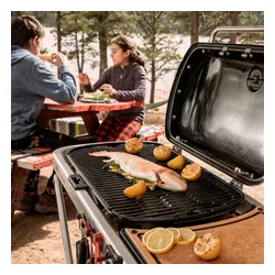 Grill gazowy WEBER Traveler 3.8 kW 63 x 34 cm