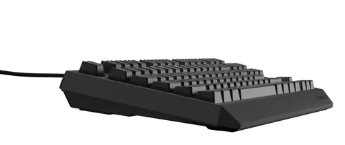 Klawiatura mechaniczna Genesis Thor 230 TKL US RGB Outemu Brown Czarny