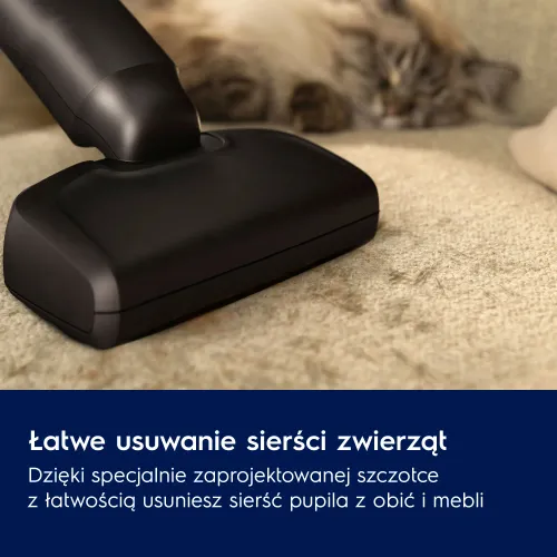 Odkurzacz Electrolux Animal 600 Pet EP61AB21UG 50min Wymienny akumulator Mini elektroszczotka