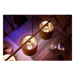 Żarówka LED Philips Hue White E14 2 szt.