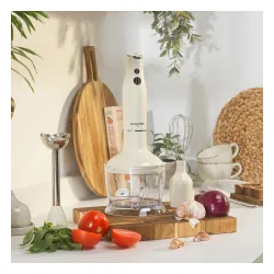 Blender Salter EK6685CRMVDE 600W Rozdrabniacz Końcówka do ubijania