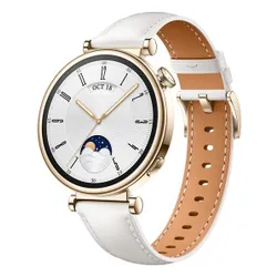 Умные Часы Huawei Watch GT 4 41mm Classic