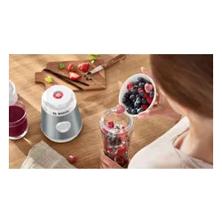 Bosch MMB2111T Smoothie Blender