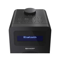 Радиоприемник Sharp DR-430 FM-радио DAB + Bluetooth черный