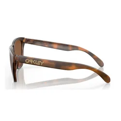 Okulary rowerowe OAKLEY Frogskins PRIZM Tungsten