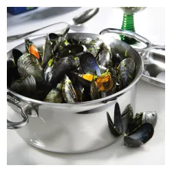 DE BUYER Affinity 5,4 l - garnek ze stali nierdzewnej z pokrywką