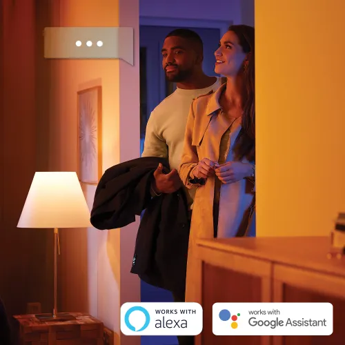 Żarówka LED Philips Hue White E14 2 szt.