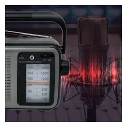 Radioodbiornik Manta MARDI919BK Radio FM Czarno-szary