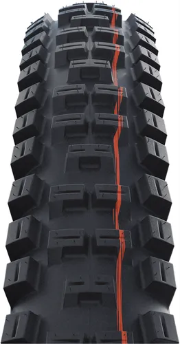 SCHWALBE Big Betty Lastikleri