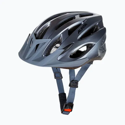 Kask rowerowy Alpina MTB 17 dark/silver