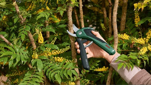 Sekator akumulatorowy BOSCH 06008B2102