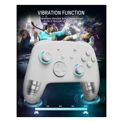 Adapter FUNLAB Firefly Pro Controller - Kakariko do Nintendo Switch / Switch 2 Bezprzewodowy
