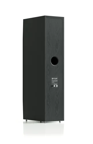 Kolumny Pylon Audio Sapphire 25 Czarny 2szt.