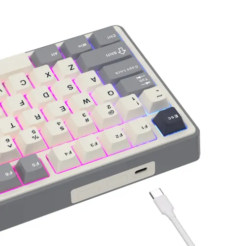 Klawiatura mechaniczna Royal Kludge RK-R87 Pro Half Grey Creamy Switch Biało-Szary