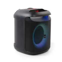 Power Audio Zehnder Party Box PB400 40W Mikrofon Bluetooth Czarny