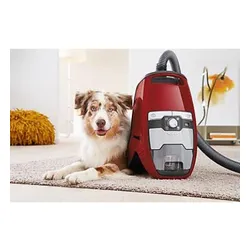 Miele Blizzard CX1 Cat &amp; Dog PowerLine Üniversal Elektrikli Süpürge