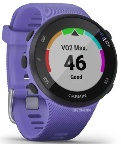 Смарт-часы Garmin Forerunner 45S ирис (010-02156-11)