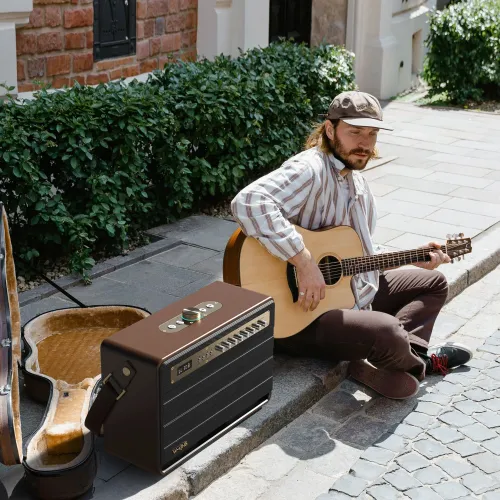 Głośnik mobilny W-KING K6L + 2 mikrofony Brązowy