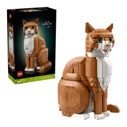 LEGO 21376 Ideas - Rudy kot