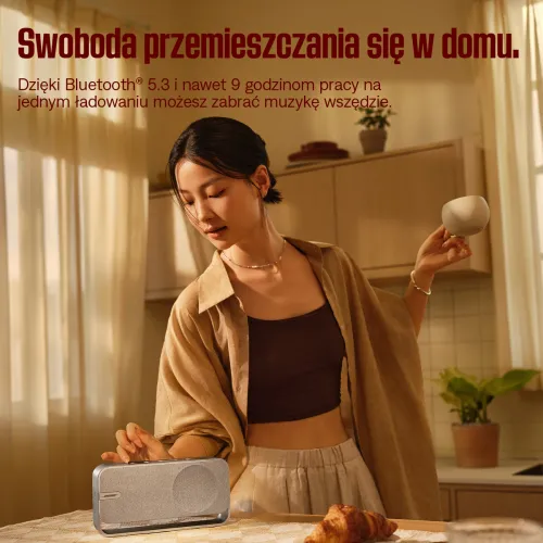 Głośnik Bluetooth Bose SoundLink Home Light Silver