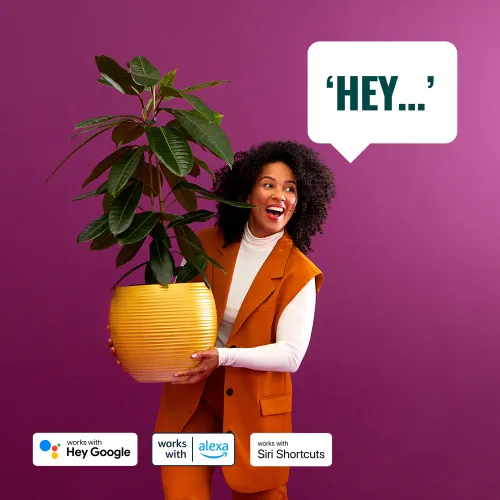 Lampa biurkowa WiZ Squire RGB