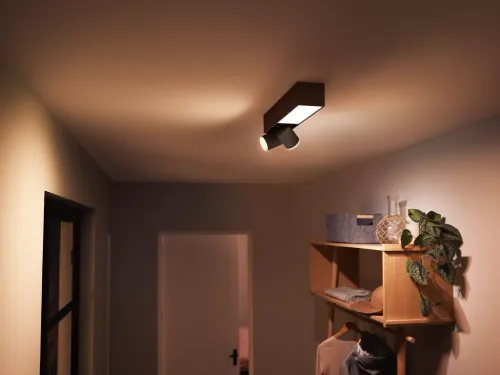 Oświetlenie punktowe Philips Hue White and Color Ambiance Centris 2 Czarny