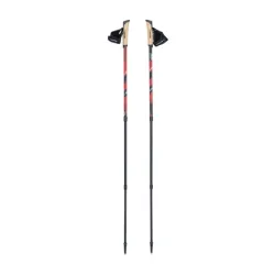 Kije do Nordic Walking Viking Kube PRO