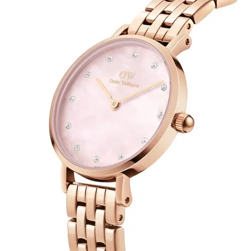 Часы Daniel Wellington Petite DW00100617 Pink