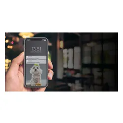 Fontanna dla zwierząt PETONEER Fresco Ultra