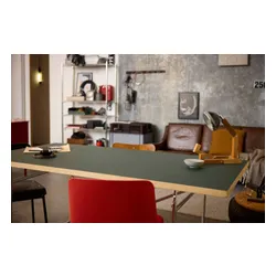 LEGO 11375 Icons Ferrari F2004 i Michael Schumacher