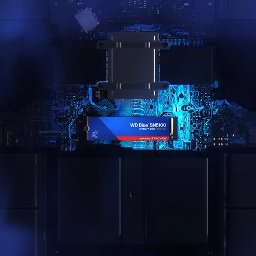 Dysk SANDISK WD Blue SN5100 1TB SSD
