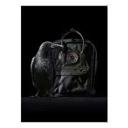 Городской рюкзак Fjallraven Kanken No. 2-black