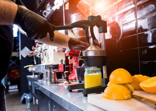 Wyciskarka do cytrusów GOCKOWIAK Verna Srebrny