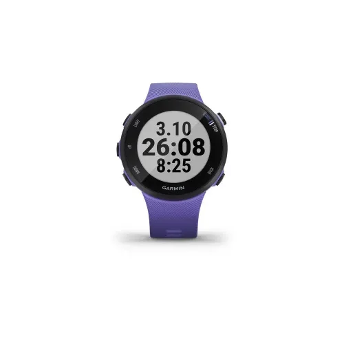 Смарт-часы Garmin Forerunner 45S ирис (010-02156-11)