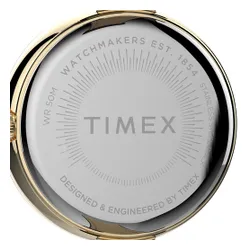 Timex City TW2V45100 Siyah / Altın Saatler