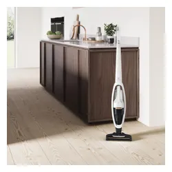 Пылесос Electrolux WQ81-ALRS 55 минут Сменный аккумулятор