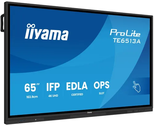 iiyama ProLite TE6513A-B1AG
