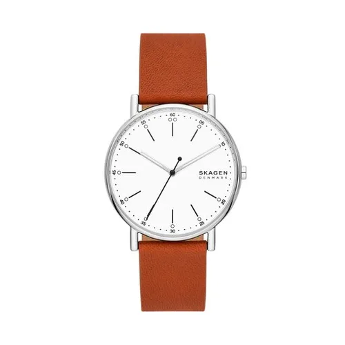 Часы Skagen Signatur SKW6903 Silver / Brown