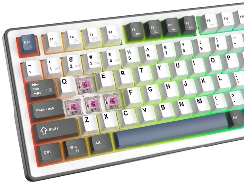 Klawiatura gamingowa White Shark Excalibur biała KTT Wine Red RGB Hot-Swap