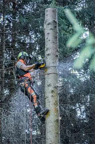 Pilarka łańcuchowa DeWalt FLEXVOLT DCMCST635X1 1x9,0Ah
