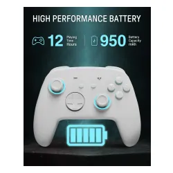 Adapter FUNLAB Firefly Pro Controller - Kakariko do Nintendo Switch / Switch 2 Bezprzewodowy