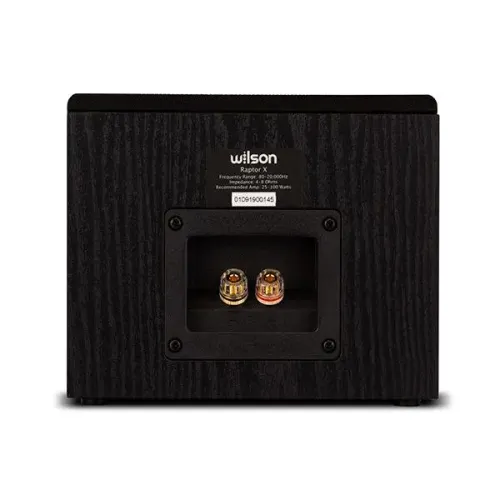 Kolumny efektowe Dolby Atmos Wilson Raptor X Czarny 2szt.