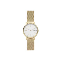 Часы мужские Skagen Signatur, SKW2693