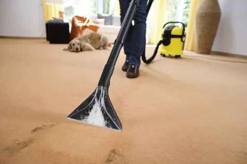 Karcher моющий пылесос SE 4001 1.081-130.0