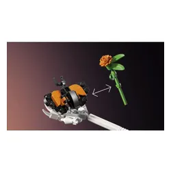 LEGO 21372 IDEAS Pani Catrina