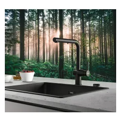 Bateria FRANKE Active L Pull-out spray 115.0653.382 Czarny mat