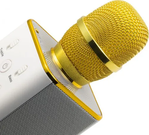 Technaxx MusicMan Karaoke Mikrofonu (BT-X31GOLD)